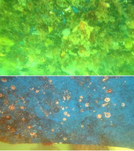 高壓清洗機,進口高壓清洗機,高壓清洗機價格,超高壓清洗機