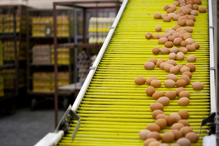 高壓清洗機,進口高壓清洗機,高壓清洗機價格,超高壓清洗機